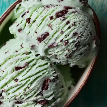 Mint Chocolate Chip Ice Cream