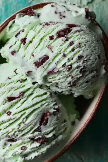 Mint Chocolate Chip Ice Cream