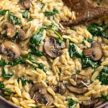 Creamy Mushroom and Spinach Orzo