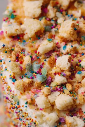 Birthday Cake Crumbs