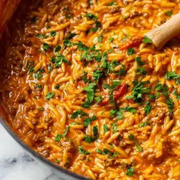 Ground Beef Orzo with Tomato Cream Sauce