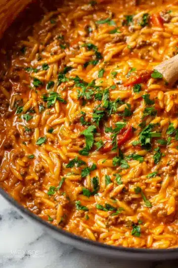 Ground Beef Orzo with Tomato Cream Sauce